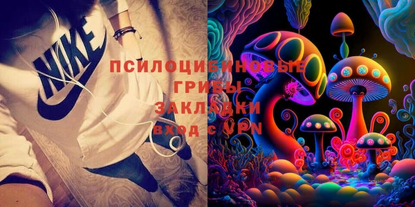 бошки Алексеевка